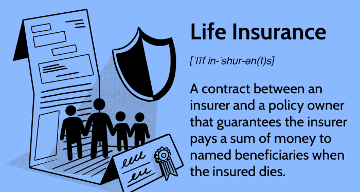 Understanding Life Insurance Quotes: A Comprehensive Guide : Insurance Info
